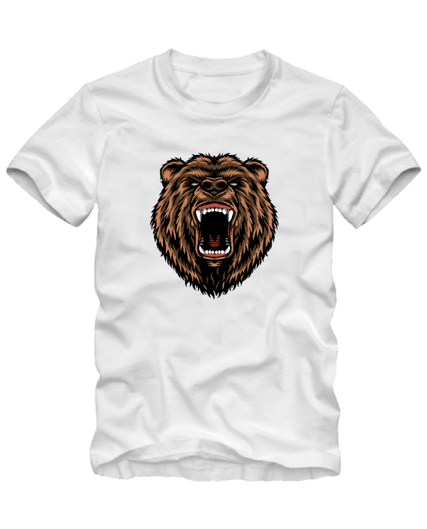 Bear Bear